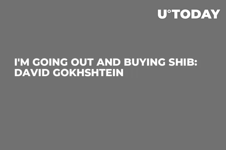 I'm Going Out and Buying SHIB: David Gokhshtein