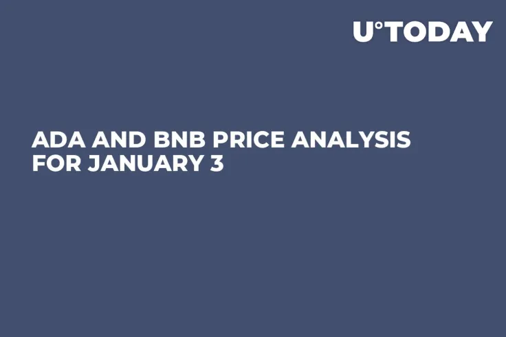 ADA and BNB Price Analysis for January 3