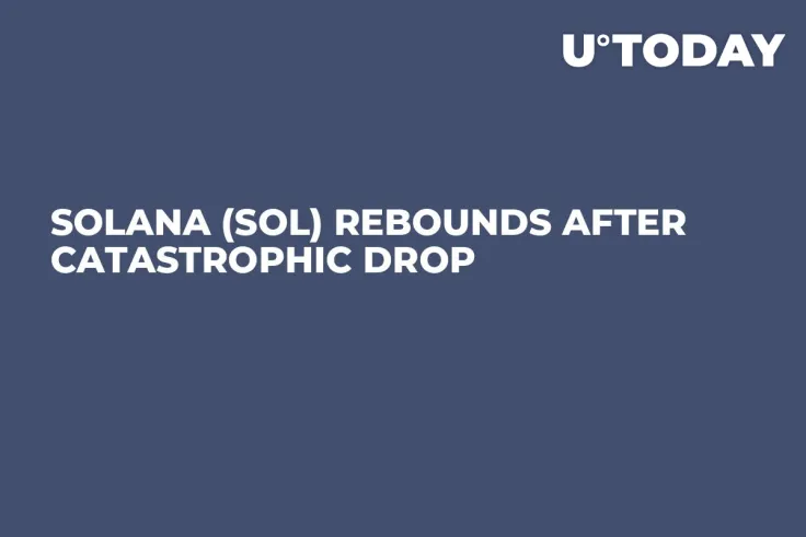 Solana (SOL) Rebounds After Catastrophic Drop