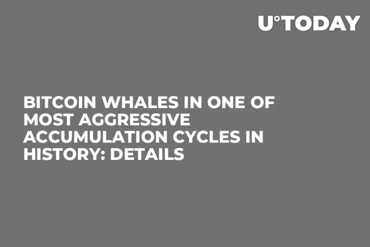 Bitcoin Whales in One of Most Aggressive Accumulation Cycles in History: Details