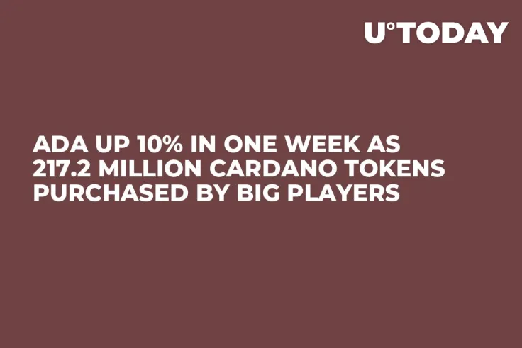 ADA Up 10% in One Week as 217.2 Million Cardano Tokens Purchased by Big Players