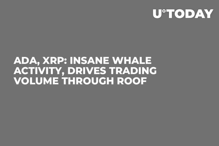 ADA, XRP: Insane Whale Activity, Drives Trading Volume Through Roof