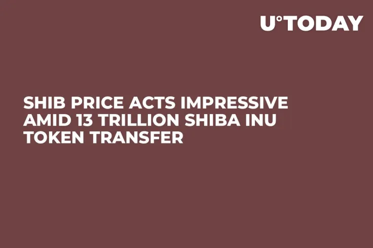 SHIB Price Acts Impressive Amid 13 Trillion Shiba Inu Token Transfer
