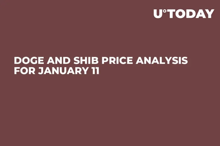 DOGE and SHIB Price Analysis for January 11