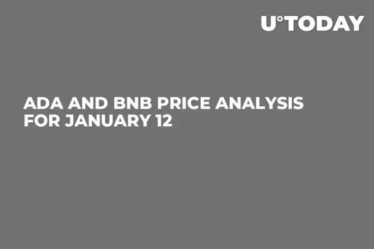 ADA and BNB Price Analysis for January 12