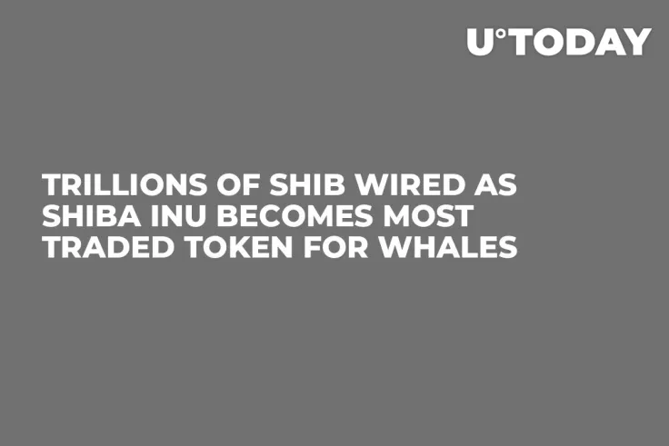 Trillions of SHIB Wired as Shiba Inu Becomes Most Traded Token for Whales