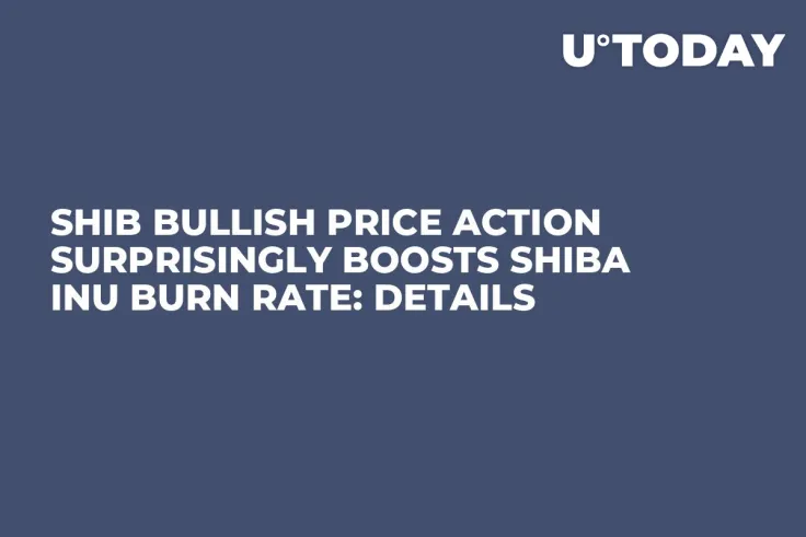 SHIB Bullish Price Action Surprisingly Boosts Shiba Inu Burn Rate: Details