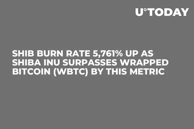 SHIB Burn Rate 5,761% Up as Shiba Inu Surpasses Wrapped Bitcoin (WBTC) by This Metric