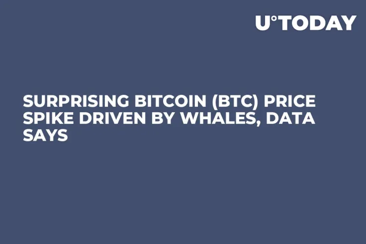 Surprising Bitcoin (BTC) Price Spike Driven by Whales, Data Says