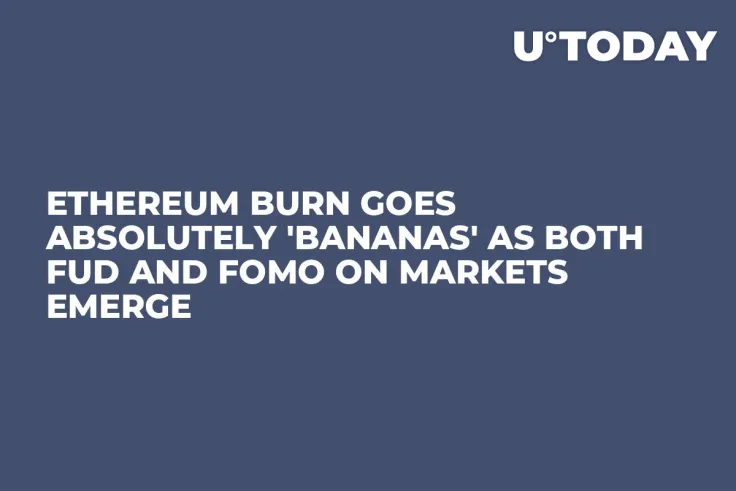 Ethereum Burn Goes Absolutely 'Bananas' as Both FUD and FOMO on Markets Emerge