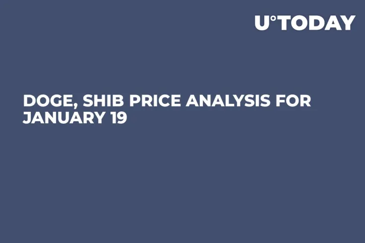 DOGE and SHIB Price Analysis for January 19