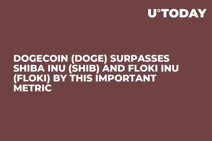 Dogecoin (DOGE) Surpasses Shiba Inu (SHIB) and Floki Inu (FLOKI) by This Important Metric
