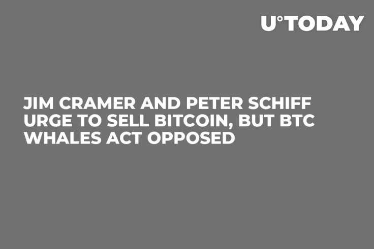 Jim Cramer and Peter Schiff Urge to Sell Bitcoin, But BTC Whales Act Opposed