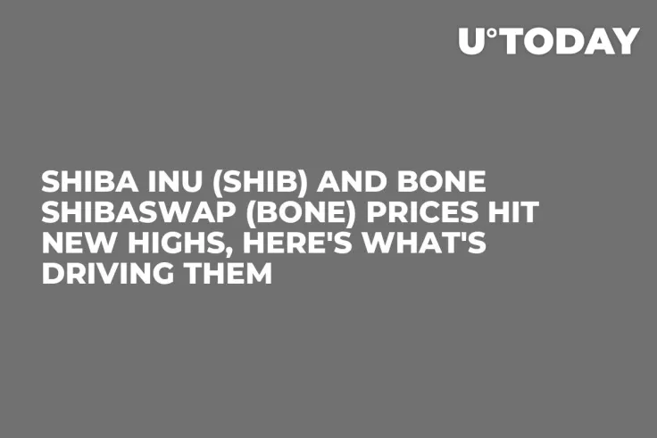 Shiba Inu (SHIB) and Bone ShibaSwap (BONE) Prices Hit New Highs, Here's What's Driving Them