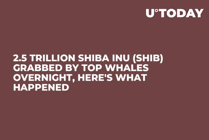2.5 Trillion Shiba Inu (SHIB) Grabbed by Top Whales Overnight, Here's What Happened