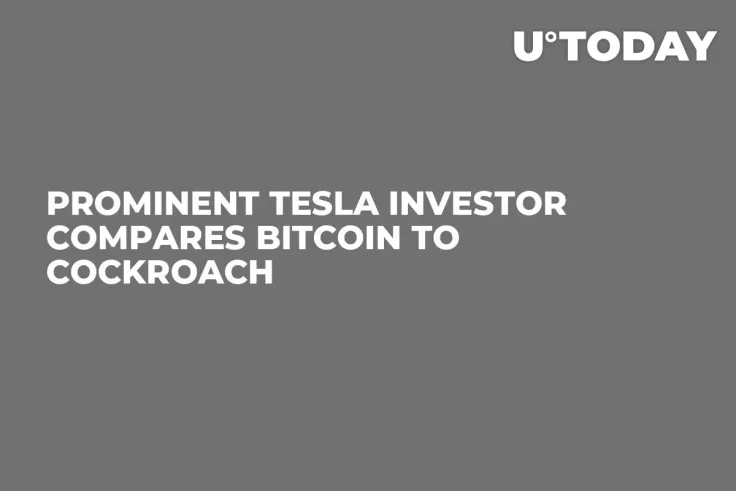 Prominent Tesla Investor Compares Bitcoin to Cockroach 