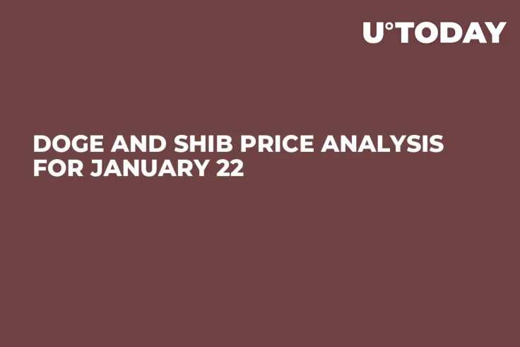DOGE and SHIB Price Analysis for January 22