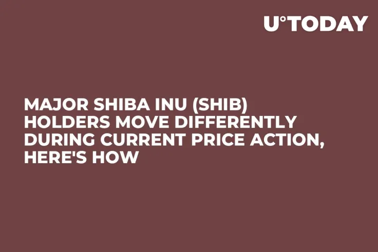 Major Shiba Inu (SHIB) Holders Move Differently During Current Price Action, Here's How