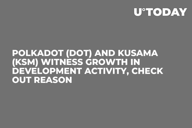 Polkadot (DOT) and Kusama (KSM) Witness Growth in Development Activity, Check out Reason