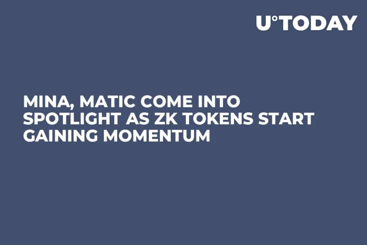 Mina, MATIC Come Into Spotlight as ZK Tokens Start Gaining Momentum