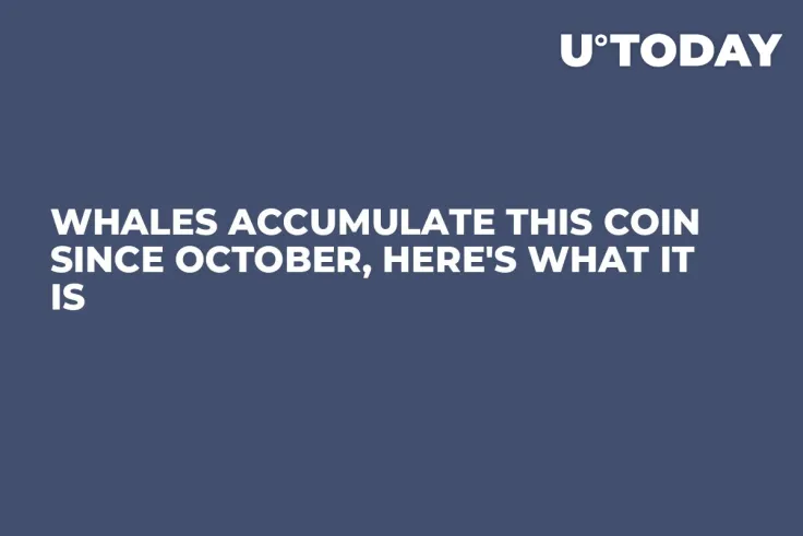 Whales Accumulate This Coin Since October, Here's What It Is