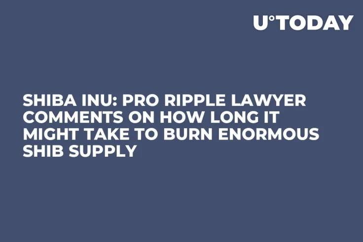 Shiba Inu: Pro Ripple Lawyer Comments on How Long It Might Take to Burn Enormous SHIB Supply