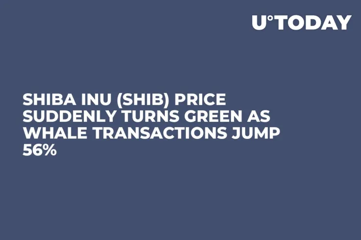 Shiba Inu (SHIB) Price Suddenly Turns Green as Whale Transactions Jump 56%