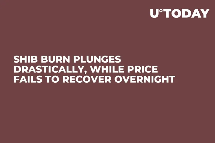 SHIB Burn Plunges Drastically, While Price Fails to Recover Overnight