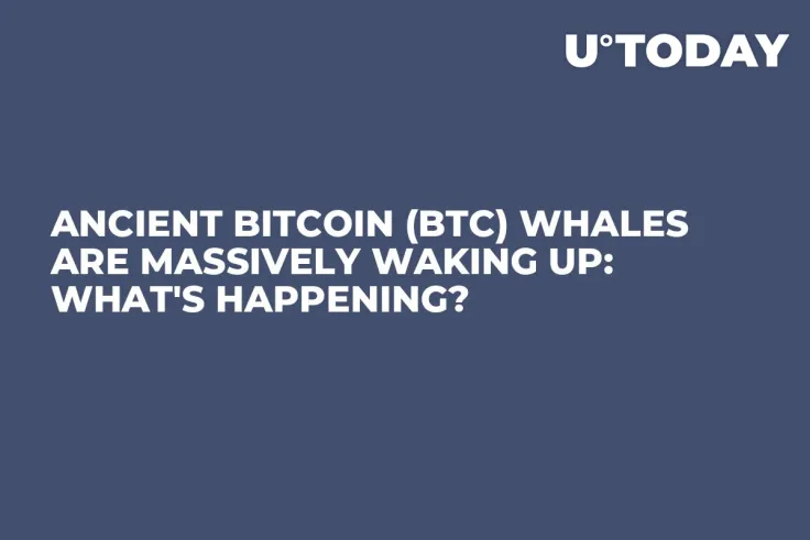Ancient Bitcoin (BTC) Whales Are Massively Waking Up: What's Happening?
