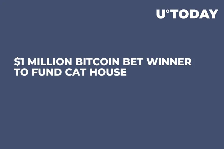 $1 Million Bitcoin Bet Winner to Fund Cat House