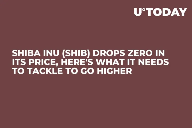 Shiba Inu (SHIB) Drops Zero in Its Price, Here's What It Needs to Tackle to Go Higher