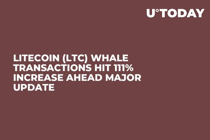 Litecoin (LTC) Whale Transactions Hit 111% Increase Ahead Major Update