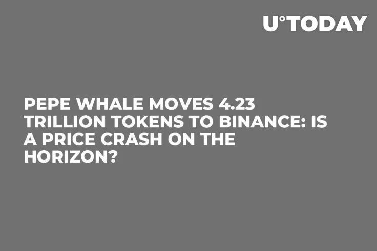 Pepe Whale Moves 4.23 Trillion Tokens to Binance: Is a Price Crash on the Horizon?