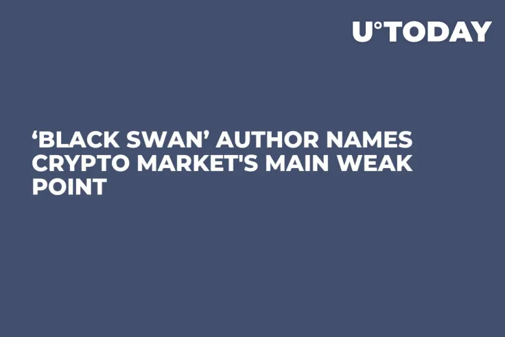 ‘Black Swan’ Author Names Crypto Market's Main Weak Point