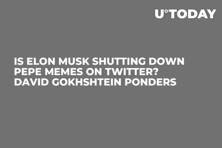 Is Elon Musk Shutting Down PEPE Memes on Twitter? David Gokhshtein Ponders
