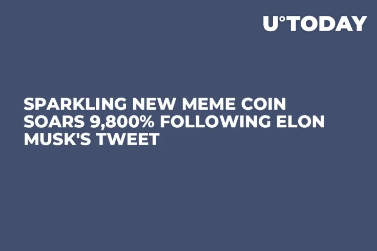 Sparkling New Meme Coin Soars 9,800% Following Elon Musk's Tweet