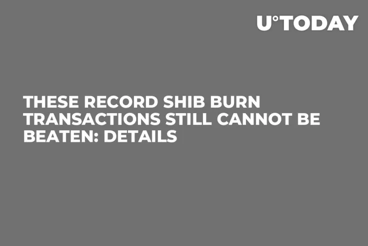 These Record SHIB Burn Transactions Still Cannot Be Beaten: Details