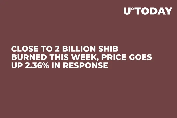 Close to 2 Billion SHIB Burned This Week, Price Goes Up 2.36% in Response 