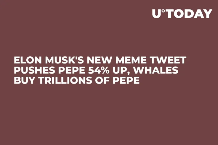 Elon Musk's New Meme Tweet Pushes PEPE 54% Up, Whales Buy Trillions of PEPE