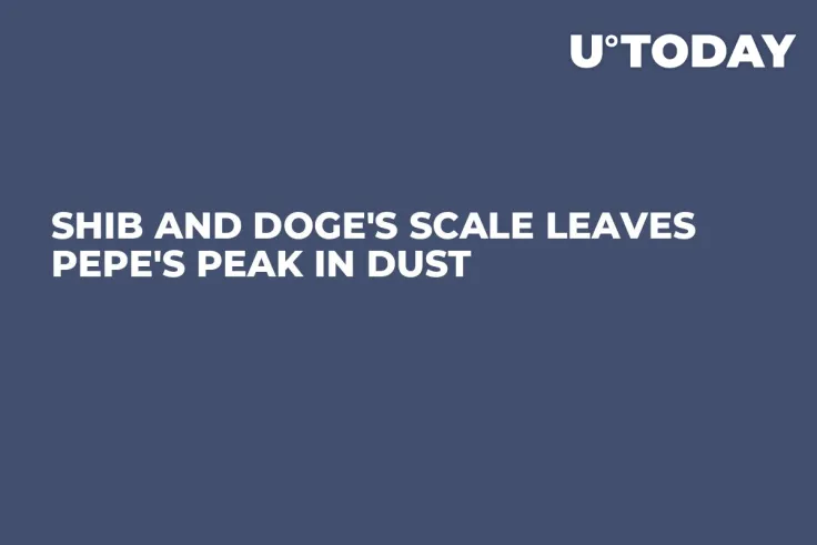 SHIB and DOGE's Scale Leaves PEPE's Peak in Dust