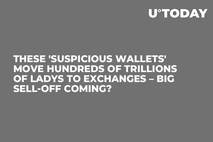 These 'Suspicious Wallets' Move Hundreds of Trillions of LADYS to Exchanges – Big Sell-off Coming?