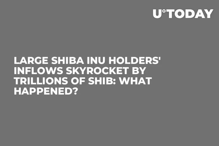 Large Shiba Inu Holders' Inflows Skyrocket by Trillions of SHIB: What Happened?