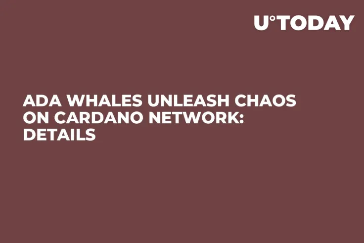 ADA Whales Unleash Chaos on Cardano Network: Details
