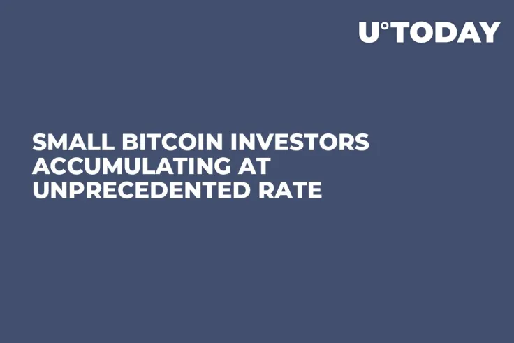 Small Bitcoin Investors Accumulating at Unprecedented Rate