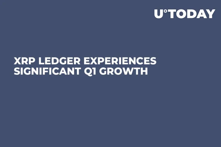 XRP Ledger Experiences Significant Q1 Growth