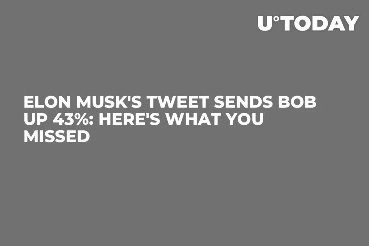 Elon Musk's Tweet Sends BOB up 43%: Here's What You Missed