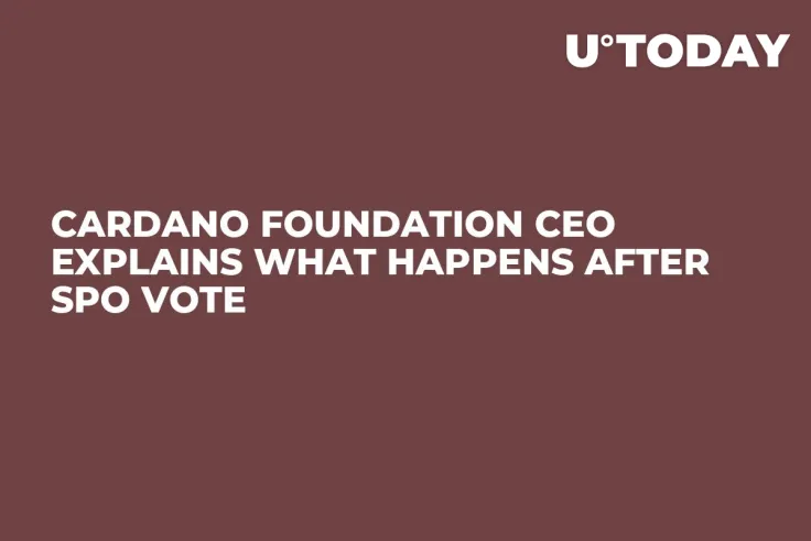 Cardano Foundation CEO Explains What Happens After SPO Vote