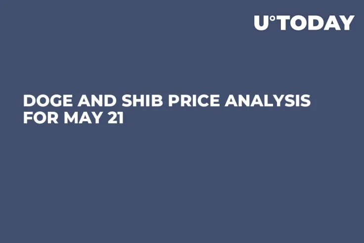DOGE and SHIB Price Analysis for May 21