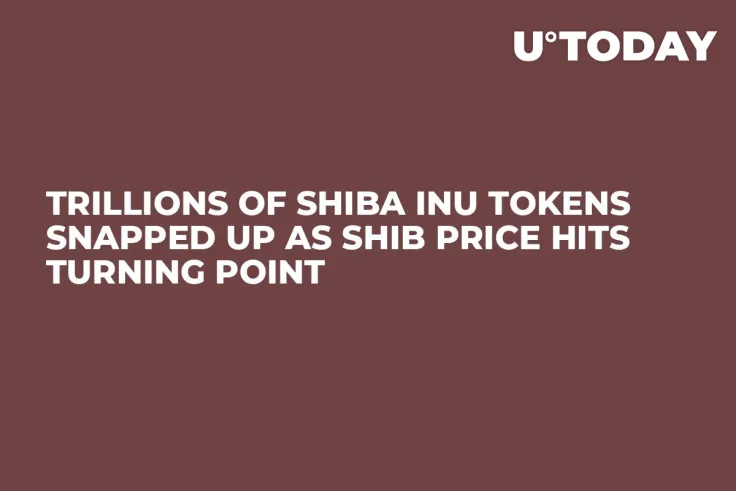 Trillions of Shiba Inu Tokens Snapped Up as SHIB Price Hits Turning Point
