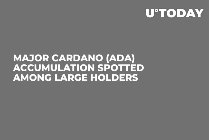 Major Cardano (ADA) Accumulation Spotted Among Large Holders